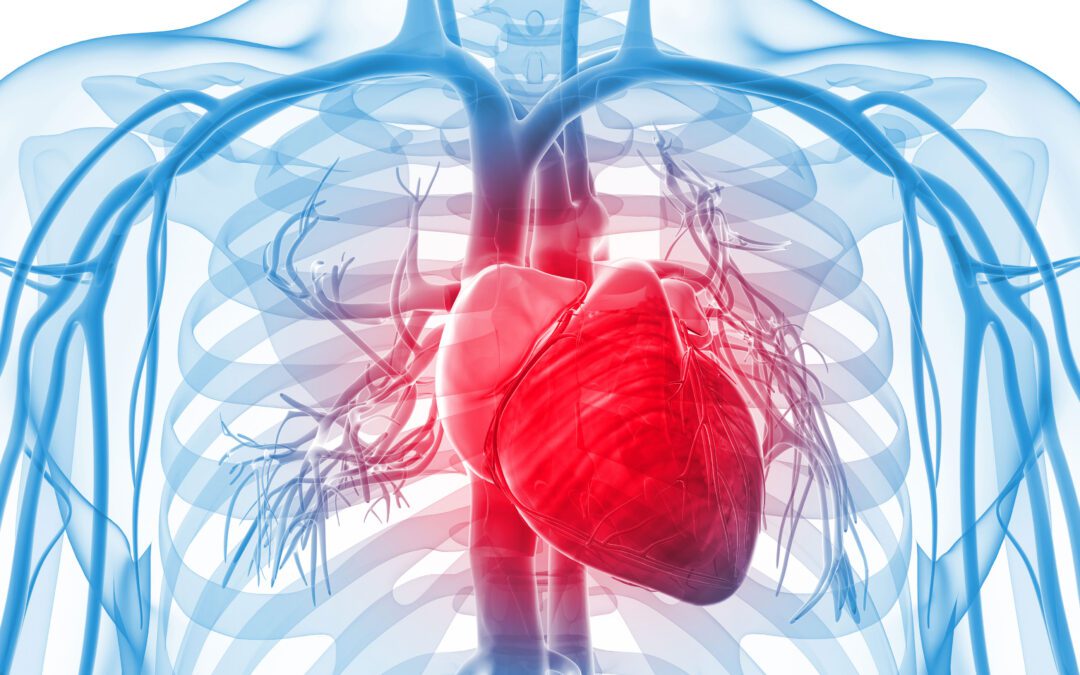 Doença Cardíaca: sintomas, exames e prevenção.